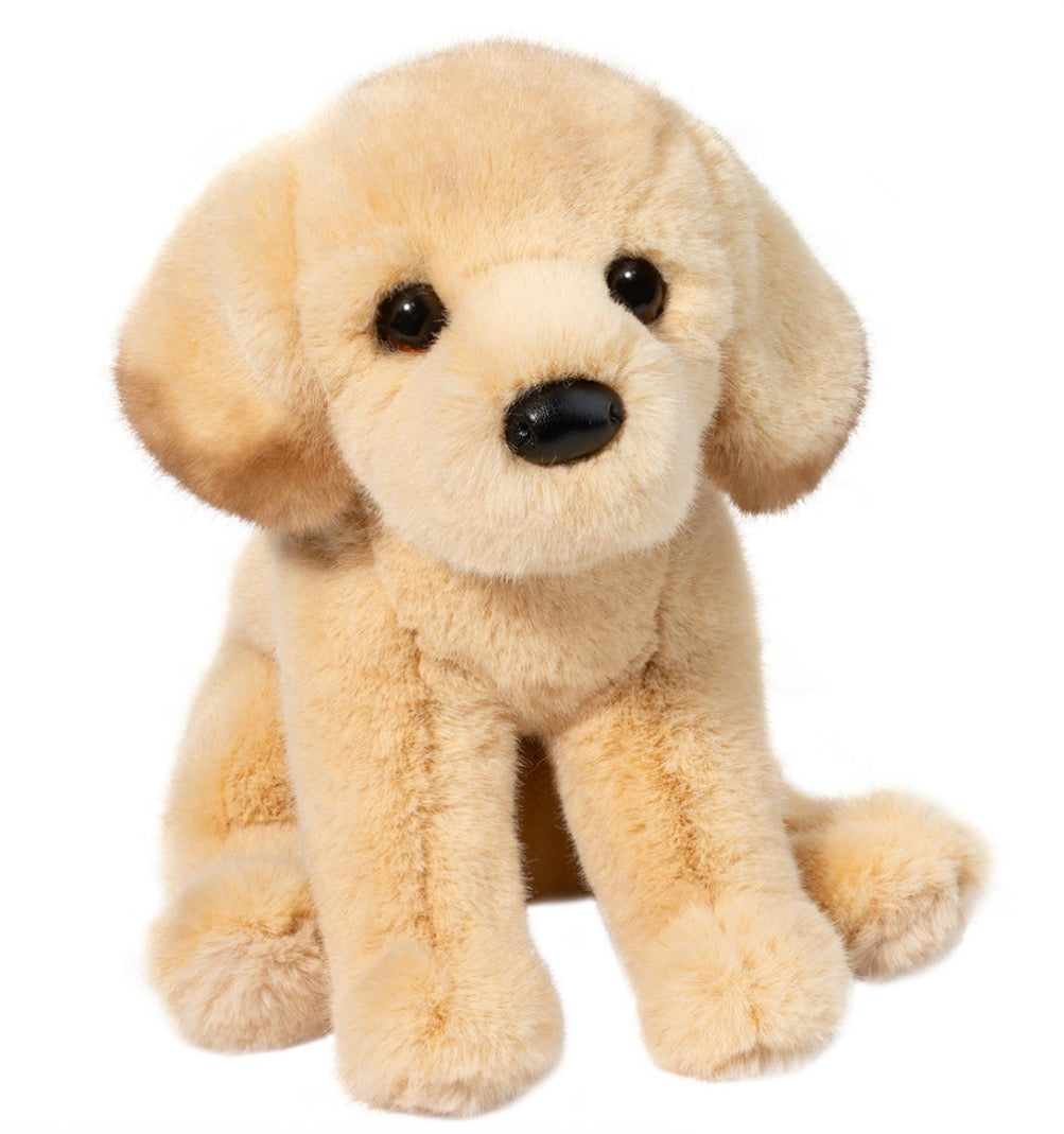 Ace Yellow Lab