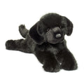 Jake Black Lab