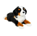Trooper Bernese Mountain Dog