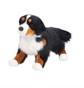 Alps Bernese Mountain Dog
