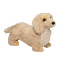 Haisley Golden Dachshund