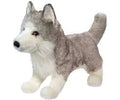 Shadow White Wolf